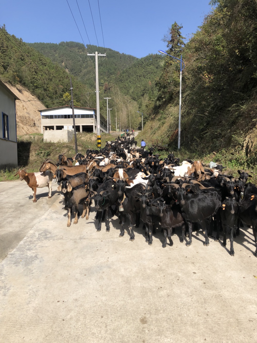 湖北省十堰市房县五台乡金牛寺一组