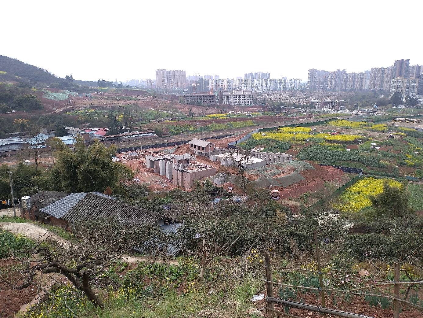 成都市龙泉驿区