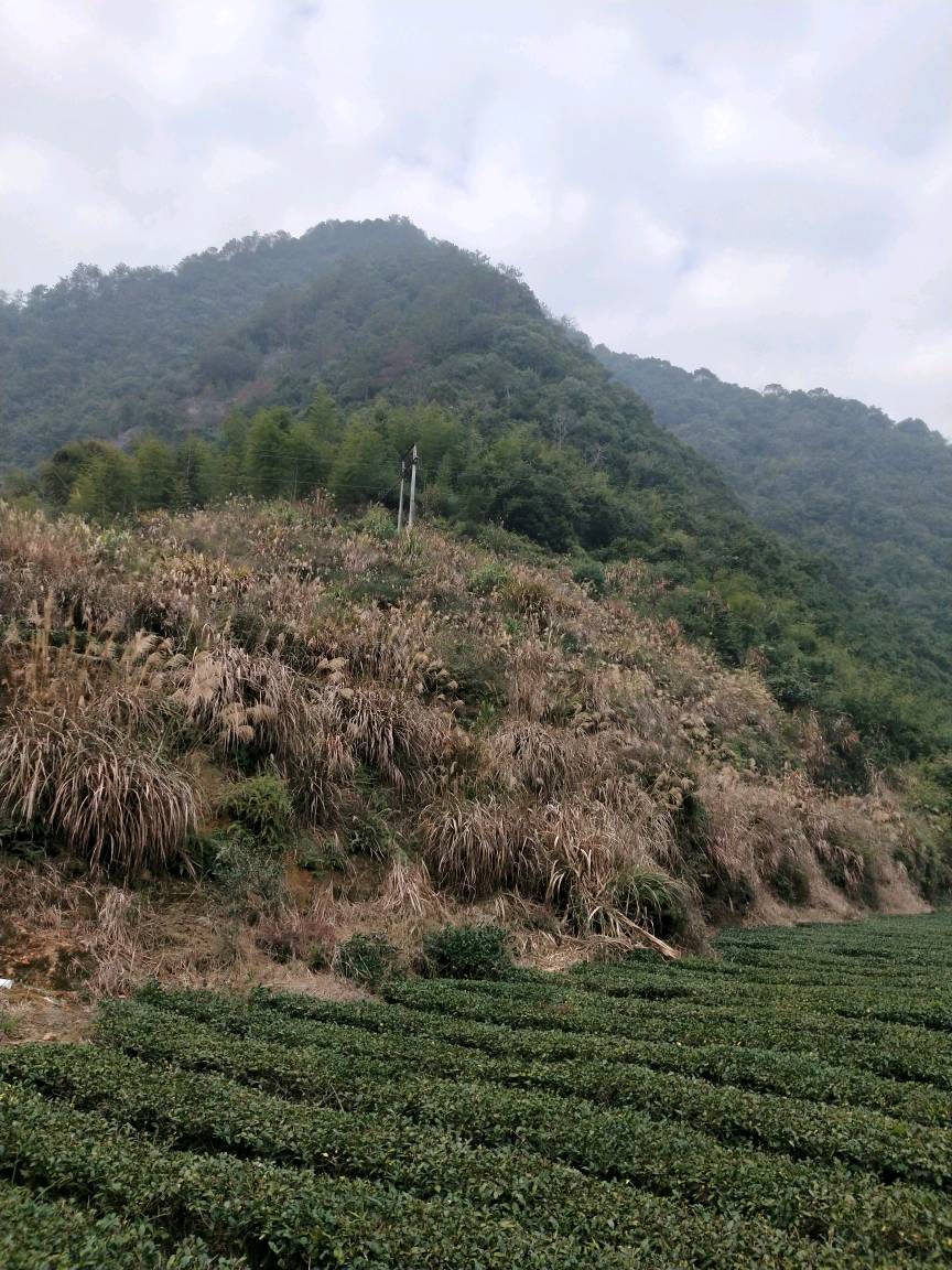 泉州市安溪县