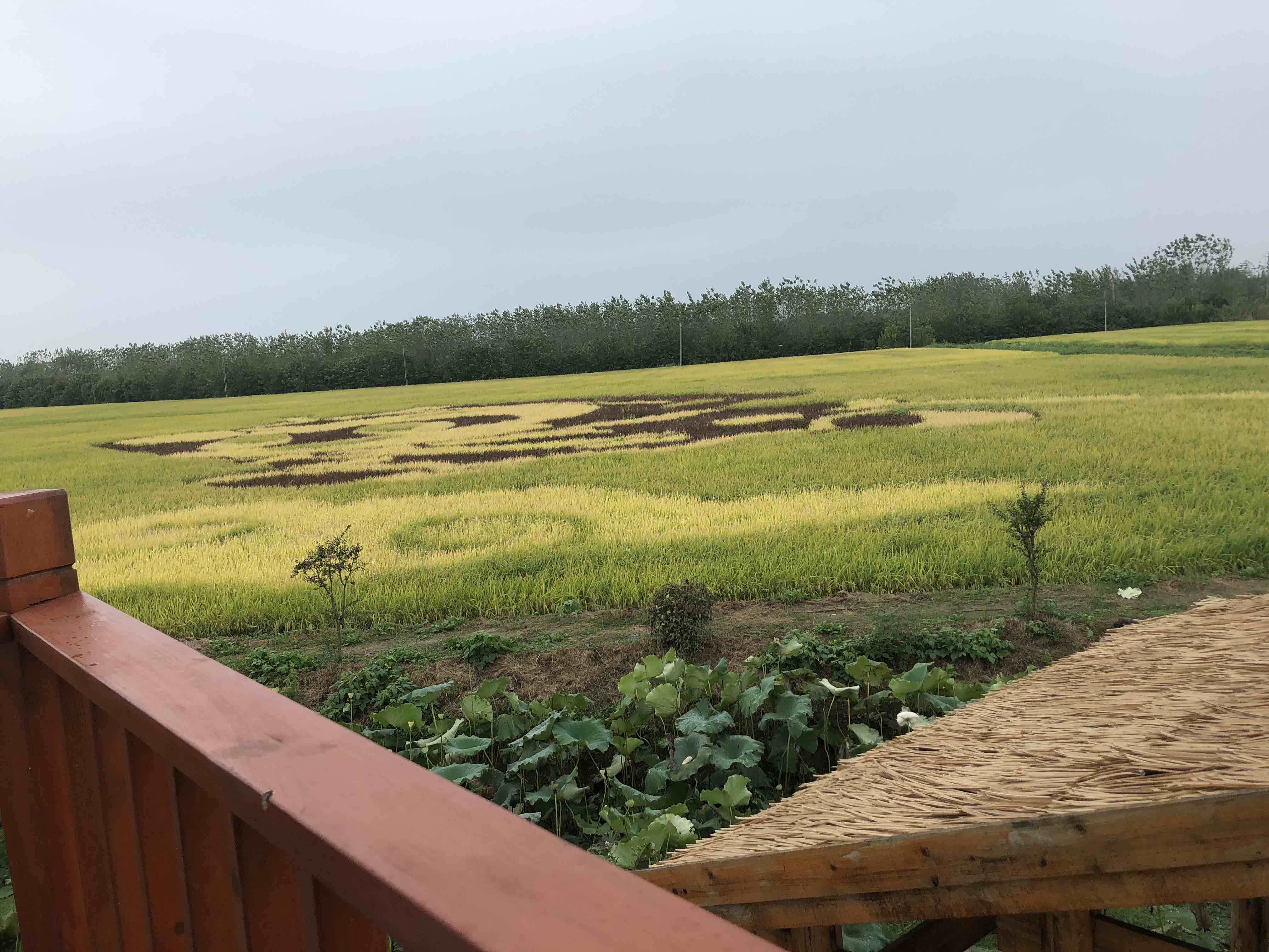 芜湖市鸠江区乡村旅游示范区