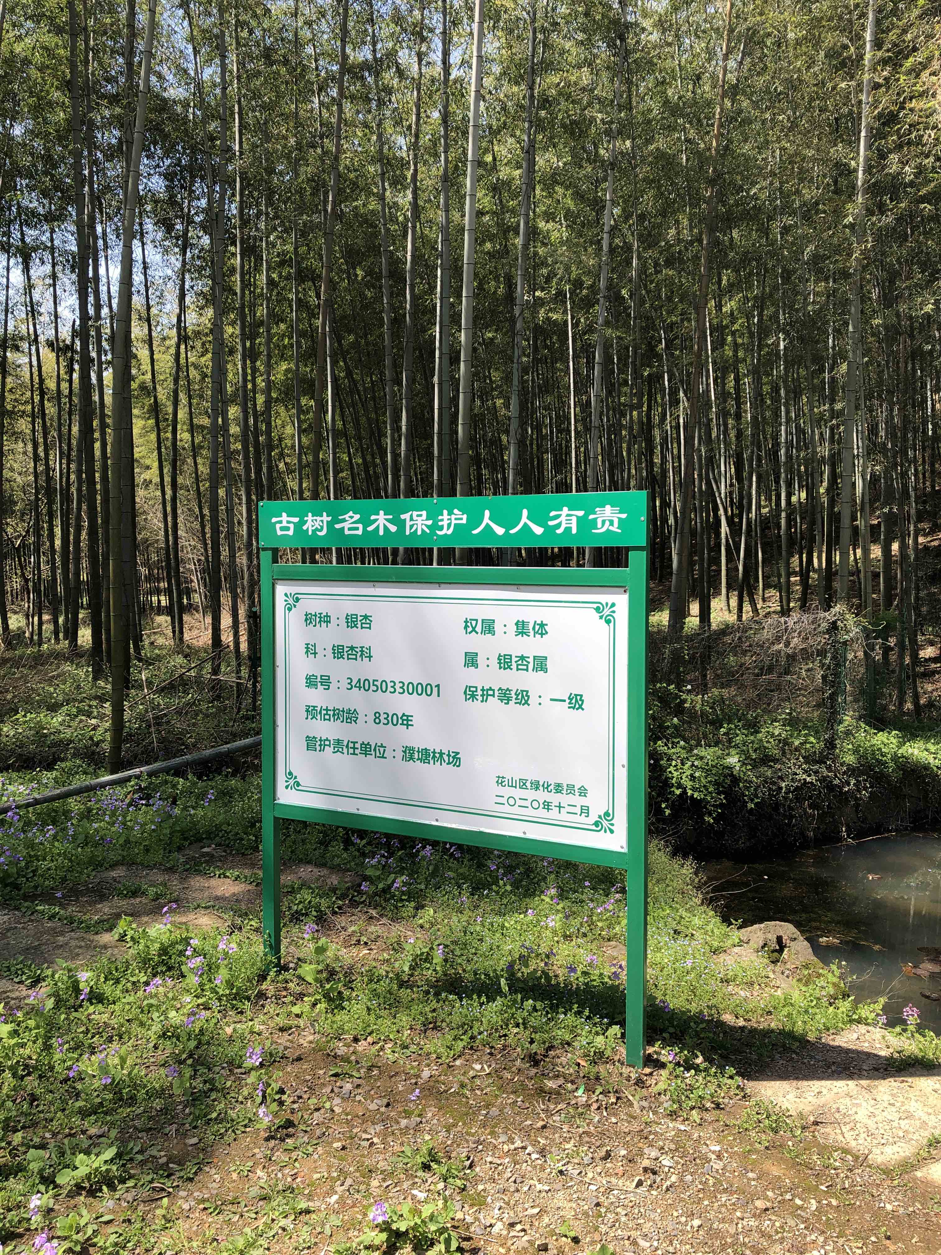 濮塘自然风景区-白母园景区