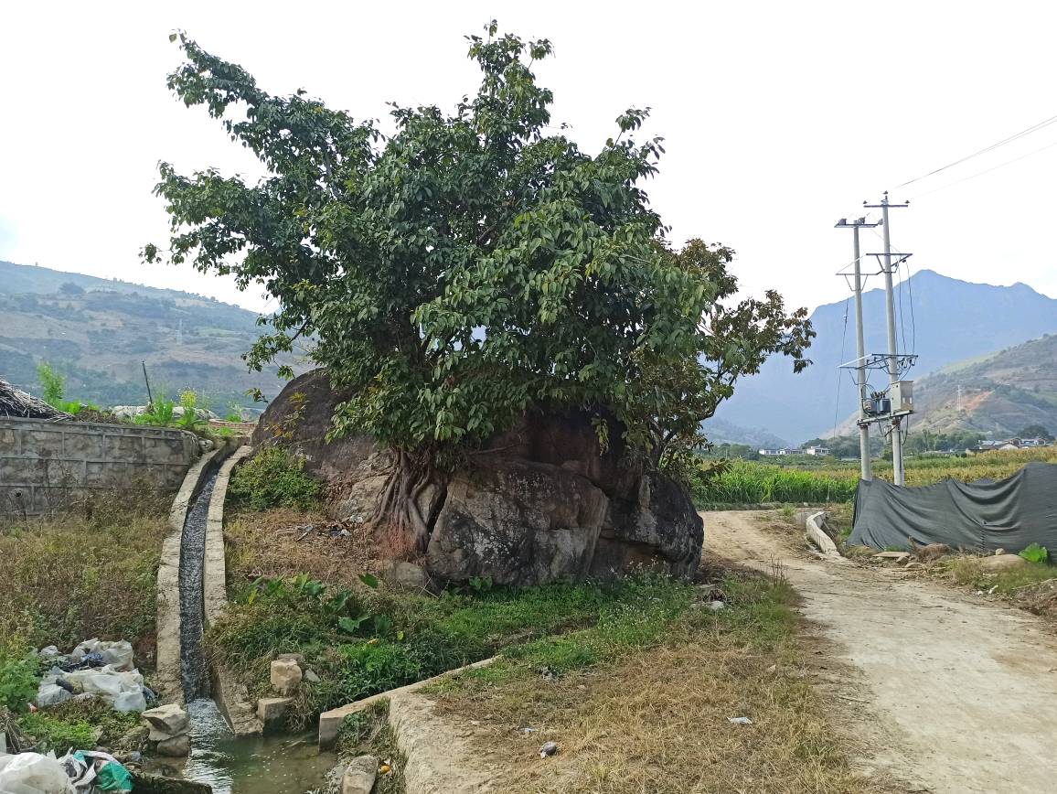 保山市隆阳区