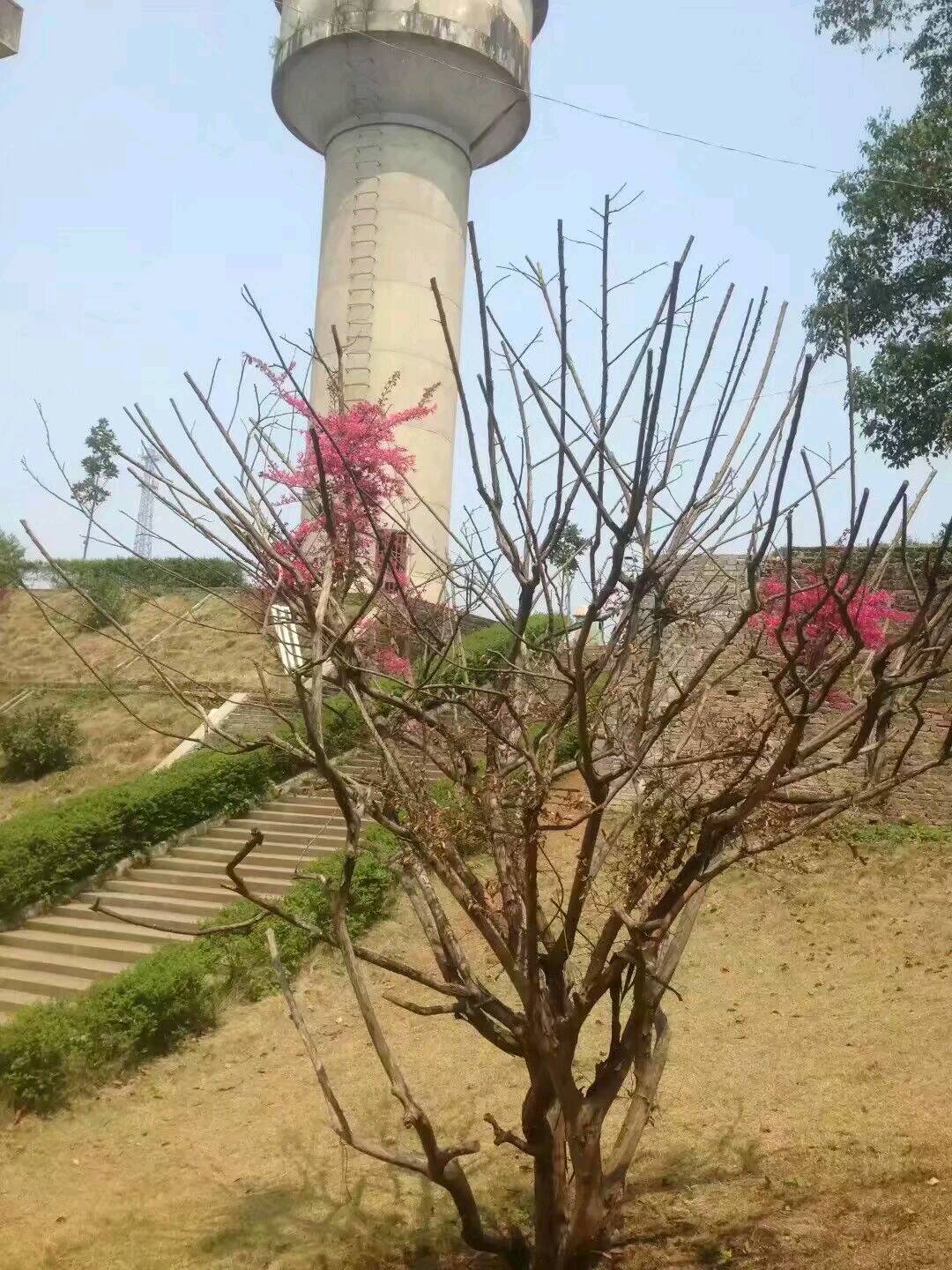 岳阳市湘阴县