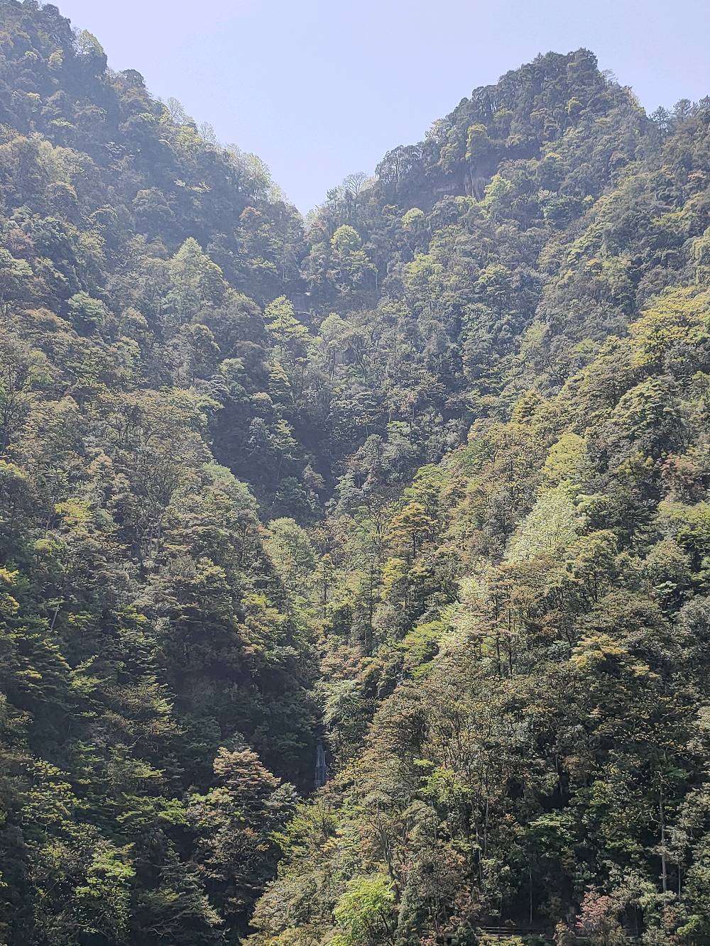 重庆市江津区